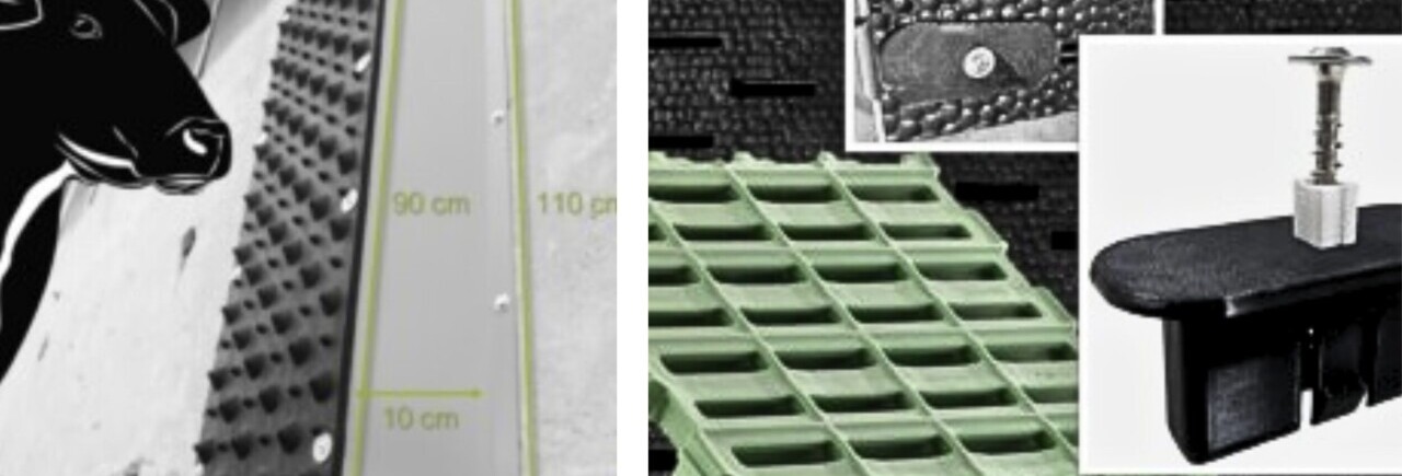 Blog_HTV_Grub_Infotag_20Mar2025_3