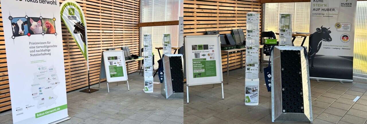 Blog_HTV_Grub_Infotag_20Mar2025_4