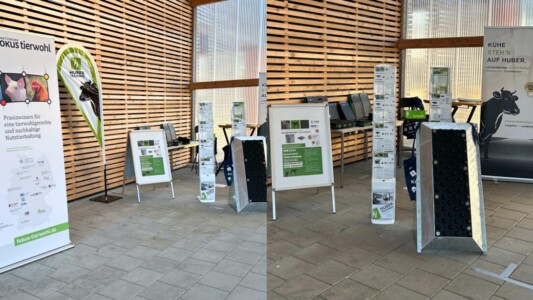 Blog_HTV_Grub_Infotag_20Mar2025_4