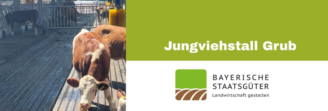 HTV_Banner_Blog_Grub_Jungviehstall_2025_1