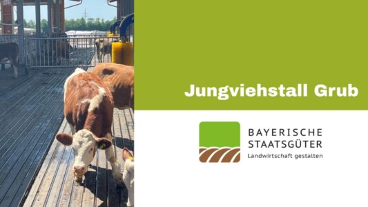 HTV_Banner_Blog_Grub_Jungviehstall_2025_1