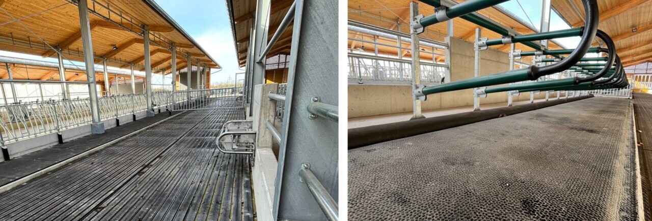 HTV_Banner_Blog_Grub_Jungviehstall_2025_2