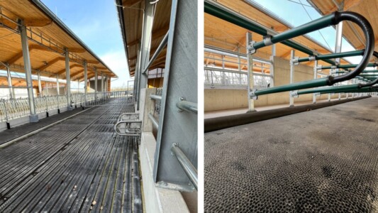 HTV_Banner_Blog_Grub_Jungviehstall_2025_2