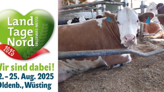 HTV_Banner_Blog_LandtageNord_2025_schmall_1