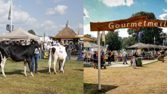 HTV_Banner_Blog_LandtageNord_2025_schmall_2