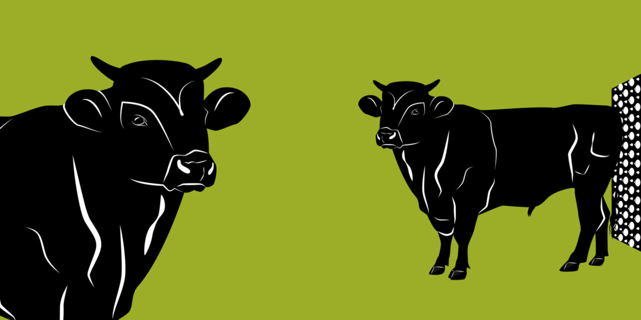 Huber Technik Vertriebs GmbH Erding-Slider3