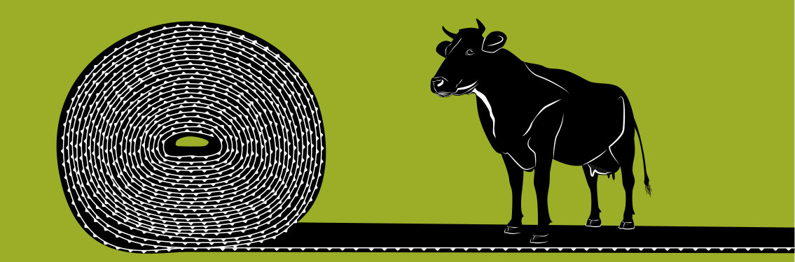 Stallmatte aus Gummi mit Kuh Huberte stehend. Gummirolle links.