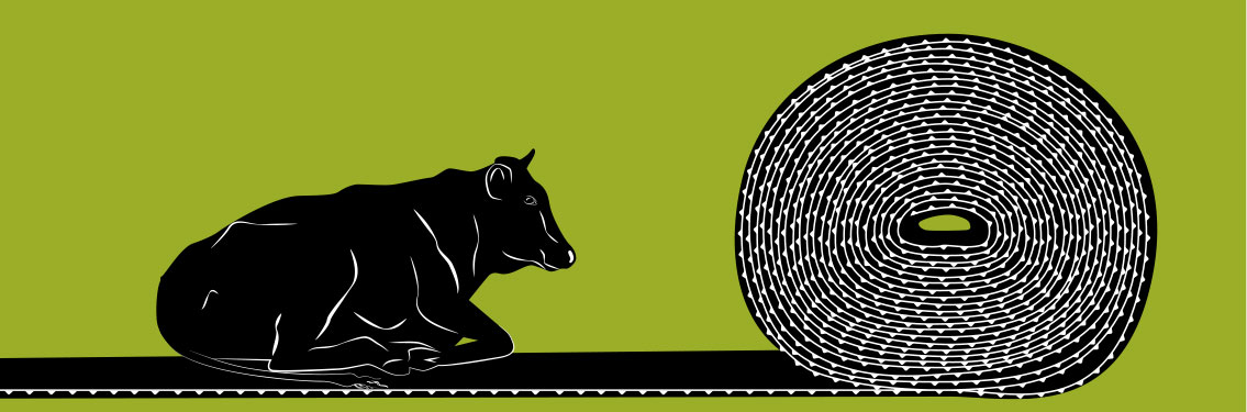 Stallmatte aus Gummi mit Kuh Huberte. Gummirolle rechts.